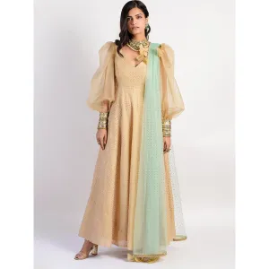 Rishi & Vibhuti Gold Printed Anarkali And Dupatta (Set of 2)