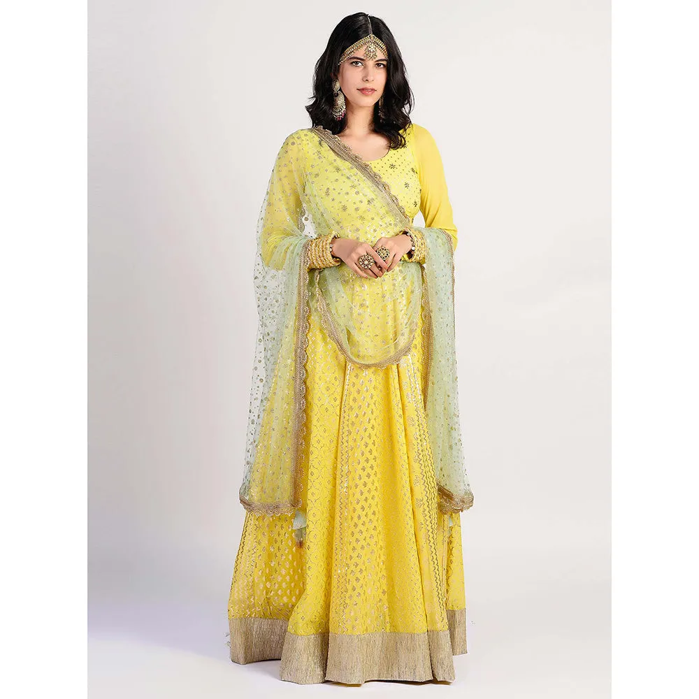 Rishi & Vibhuti yellow Printed Anarkali And Dupatta (Set of 2)
